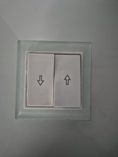 Gira Esprit Glas mint/ reinweiß glänzend + Wippe 2fach mit Pfeilsymbol 