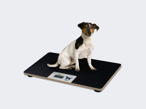 Veterinärwaage tierwaage - veterinärwaage,