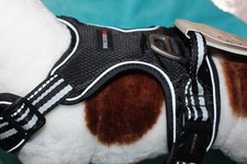 ❤️  Wolters Geschirr