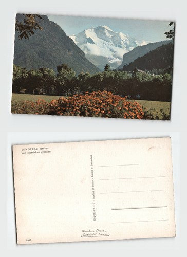 Jungfrauberg aus - ak,