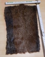 Echtes Fell Rest Kaninchen