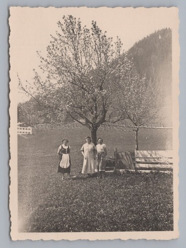 Berchtesgaden frühling - berchtesgaden,