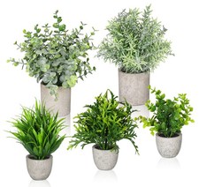 Künstliche Pflanzen Klein im