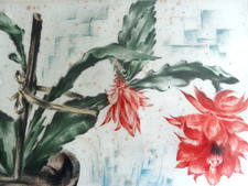 Ernst Zipperer Originalradierung " Blühender Kaktus " signiert