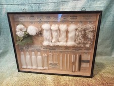 Schaukasten Lehrmittel