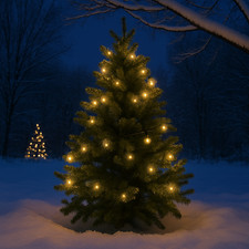 Valiant Outdoor 7,5m Lichterkette mit 25 LED Leuchtmitteln - USB betrieben