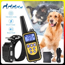 1000M Hund Ausbildung