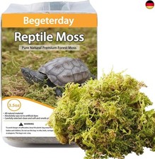 Begeterday 99g Reines