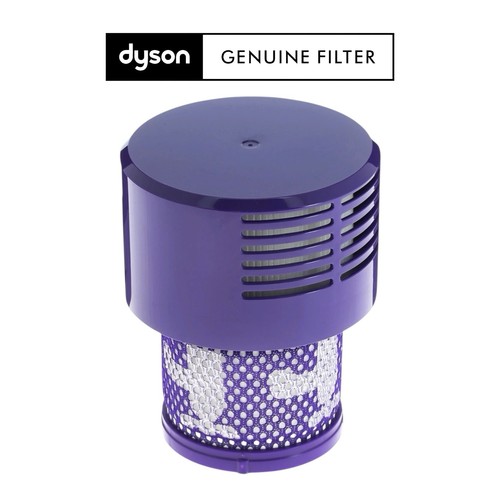 Original dyson v10 - animal, big