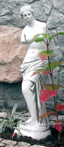 Venus von milo - venus,