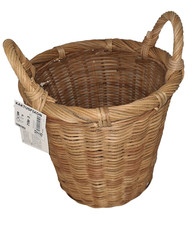 KAKTUSFIKON Ikea Blumen &