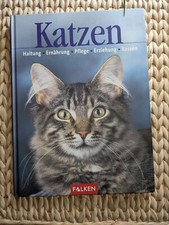 Katzen. Haltung, Ernährung