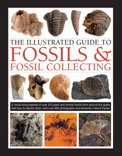 Fossils fossil collecting - &,