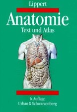 Anatomie. Text und Atlas. Deutsche und lateinische Bezei... | Buch | Zustand gut