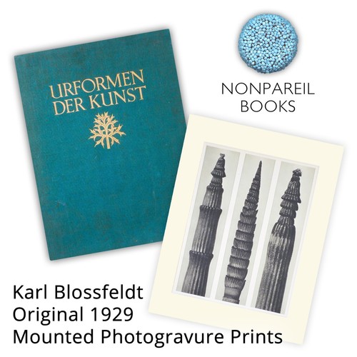 Karl blossfeldt urformen - karl, der