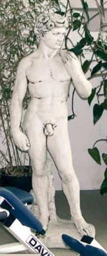 David von michelangelo - david, (s179)