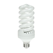 30W 240V ES Helix Spiral