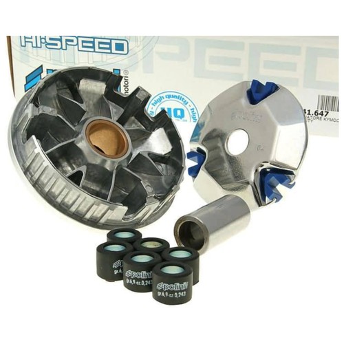 Variator polini speed - variator,