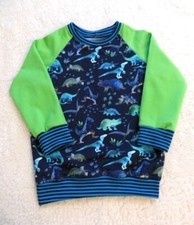 Raglan Pulli ♥ Langarm ♥