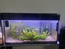 KOSTENLOS Aquarium mit Deckel  80 x 35 x 40 cm, 6 mm