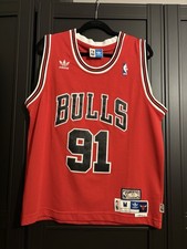Adidas Chicago Bulls Jersey