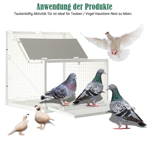 Taubenschlag tür abnehmbar - tür,