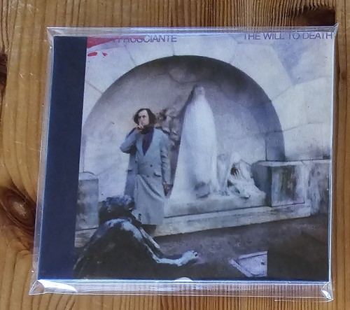 John frusciante the - frusciante,