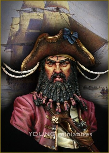 Young miniatures black beard - miniatures,