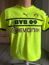 Bvb borussia dortmund pokal - bvb,