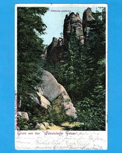 Wekelsdorf 1902 brütendes - wekelsdorf,