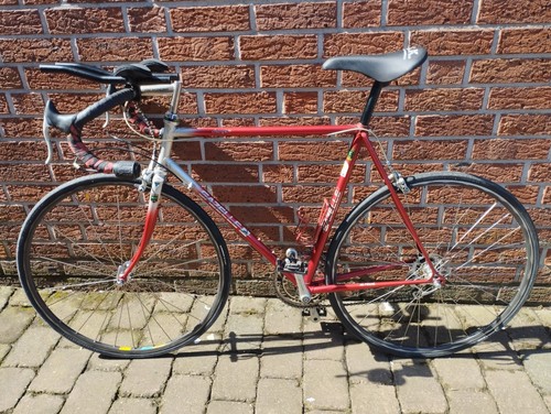 Gazelle champion 54 - champion, rh