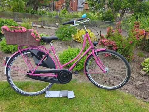 Hollandrad pink gang - pink,