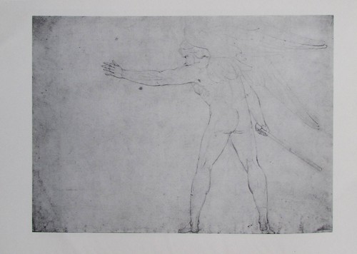 Warring angel druck - warring,