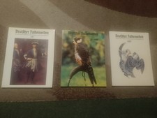 Greifvögel und Falknerei