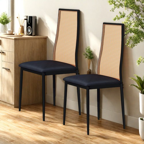 Rattanstuhl 2er set - rattanstuhl,