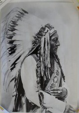 Sitting bull häuptling der - sitting,