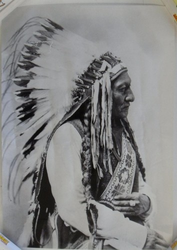 Sitting bull häuptling - häuptling, der
