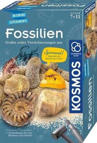Fossilien experimentierkasten - fossilien,
