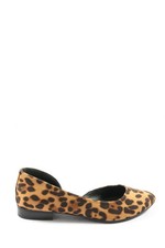 GRACELAND Klassische