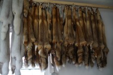 Fuchsfell Fuchsfelle Fell