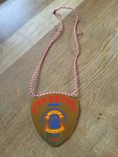 Karnevalsorden  „25 Jahre CVS“  1977  Stollberg  DDR