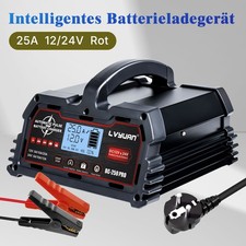 24V/12V 25A Smart Ladegerät