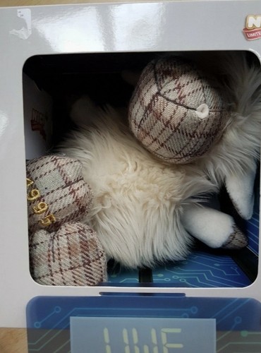 Nici jolly das schaf limited - schaf,
