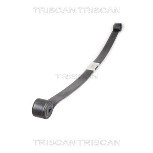 Triscan blattfeder hinten für - triscan,