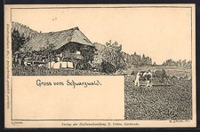 Künstler-AK Hermann Daur: Hütte im Schwarzwald mit Kuh 