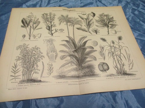 120 jahre altes motiv bild - jahre,