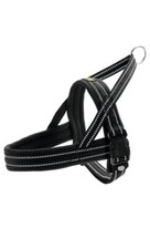 Hunter Hunde Norwegergeschirr