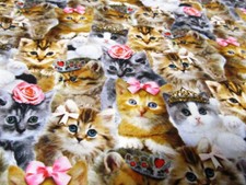 Katze Cat  Prinzessin Krone