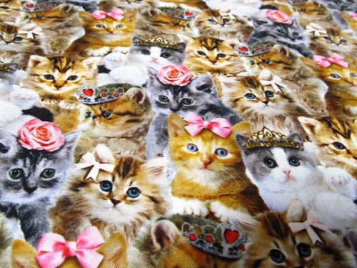 Katze cat prinzessin krone - cat,
