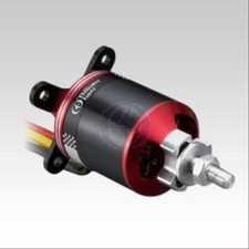 Thunder Tiger Brushless Motor